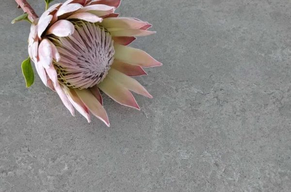 Quantum Quartz Concrete Matte