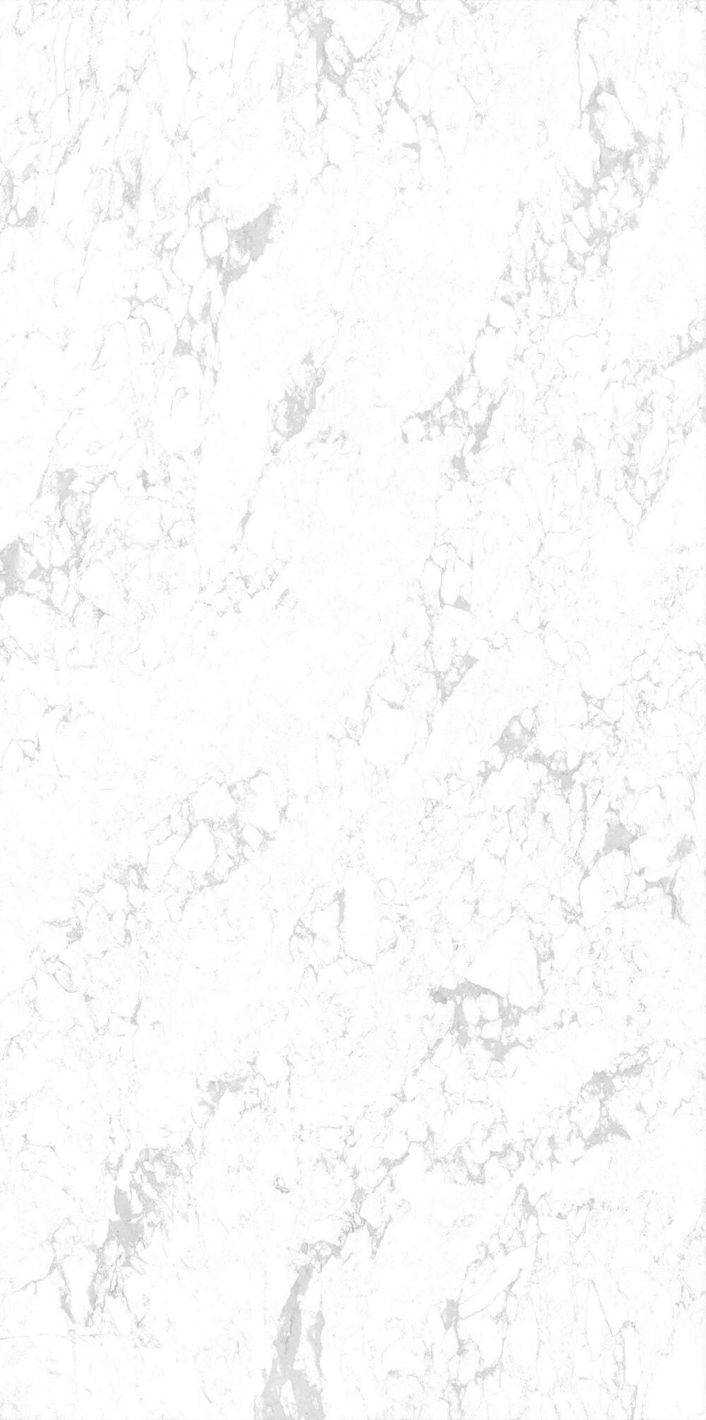 LS505 BESCATO GRIGIO