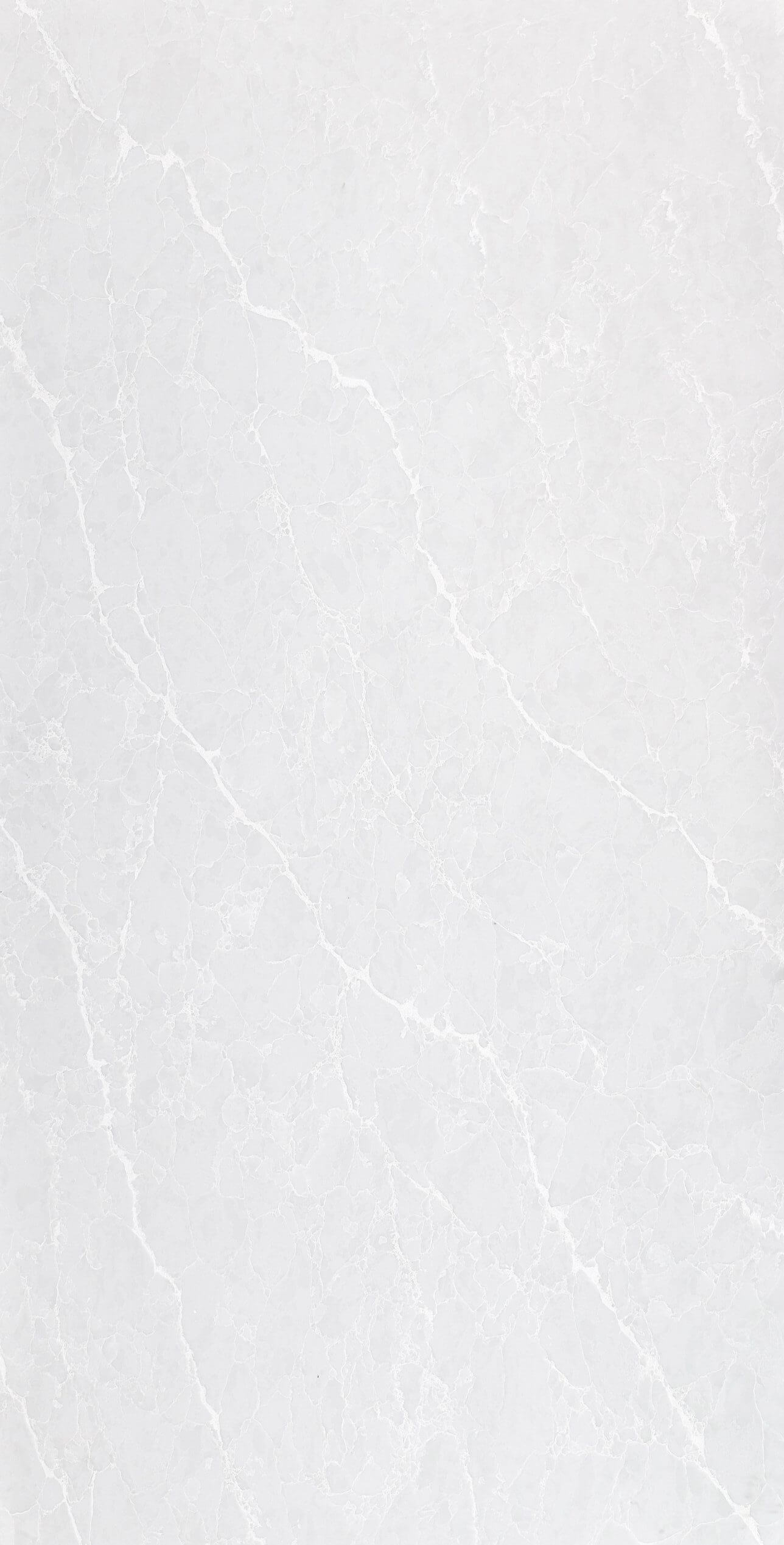 LS508 IVORY DREAM