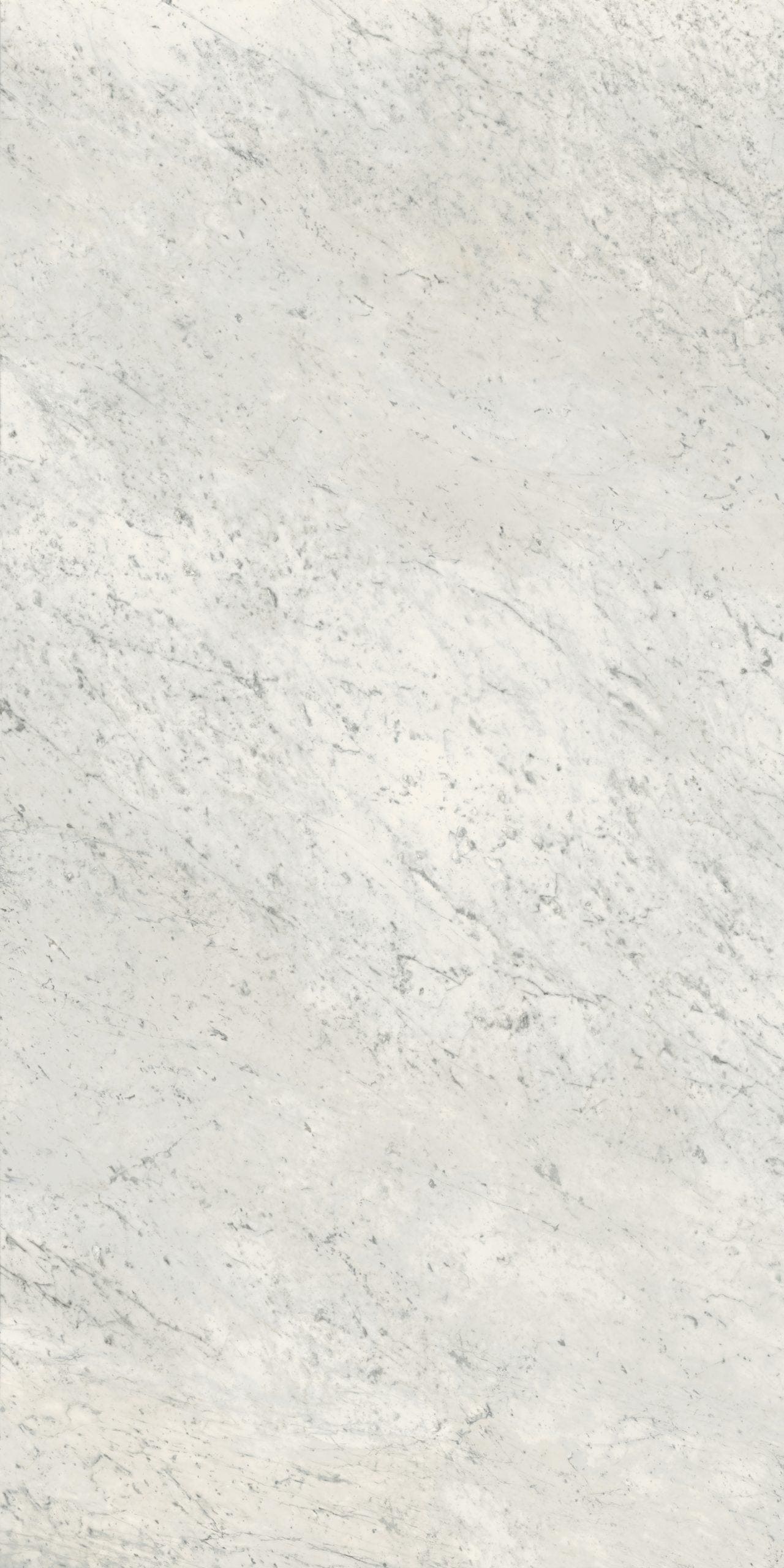 3100-H CARRARA BLISS